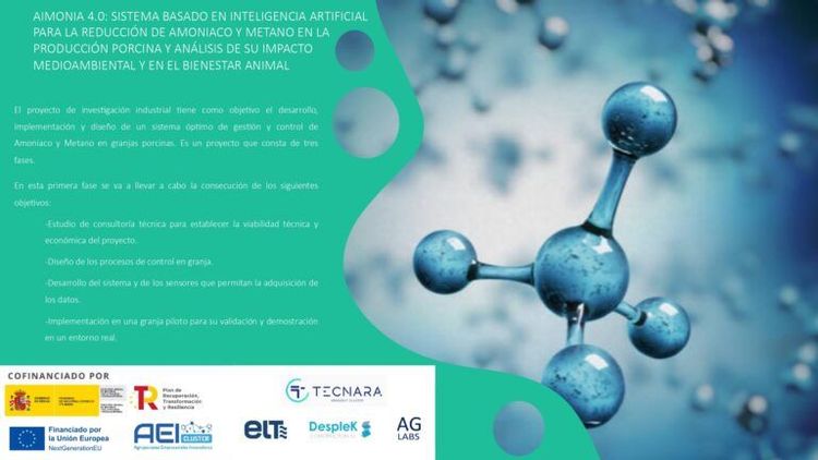 Cartel del proyecto